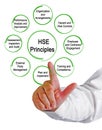 Eight HSE Principles