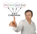 Presenting Four Components of DBT