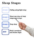 Presenting Four Sleep Stages