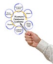 Human Immune Systems