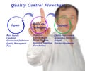 Quality control flowchart Royalty Free Stock Photo