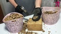 A man pricks walnuts with a hammer. On a wooden block. Nuts are in the basket