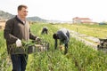 Man professional horticulturist holding harvest of onion