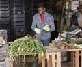 Professional horticulturist sorts harvest of fresh onion indoors