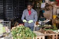 Professional horticulturist sorts harvest of fresh onion indoors