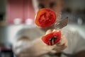 A man professionally cuts a tomato