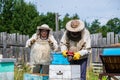 Man in a protective suit beekeeper uses device for smoke fumigation to calm bees in hives and check honey harvest in