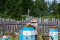 Man in a protective suit beekeeper uses device for smoke fumigation to calm bees in hives and check honey harvest in