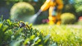 A man in a protective suit sprays the grass against ticks. Selective focus. Royalty Free Stock Photo