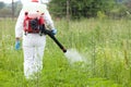 Man in protective workwear spraying herbicide on ragweed. Weed control. Royalty Free Stock Photo