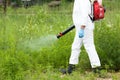 Man in protective workwear spraying herbicide on ragweed. Weed control.