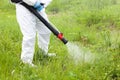 Man in protective workwear spraying herbicide on ragweed. Weed control.