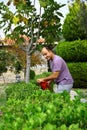 Man pruning shrub with tool in garden