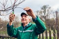 Man pruning tree with clippers. Male farmer cuts branches in autumn garden with pruning shears or secateurs Royalty Free Stock Photo