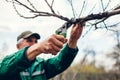 Man pruning tree with clippers. Male farmer cuts branches in spring garden with pruning shears or secateurs Royalty Free Stock Photo