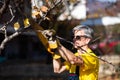 Man pruning tree cutting old branches with a saw Royalty Free Stock Photo