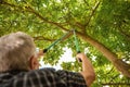 Man pruning tree outdoors, focus on secateurs Royalty Free Stock Photo