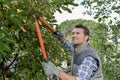 Man pruning tree with secateurs Royalty Free Stock Photo