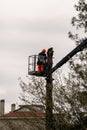 Man pruning tree tops using a saw