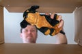 A man pulls a children`s toy out of a cardboard moving box. Brown and black stuffed toy dog. Bottom view. Inside view. Close-up. Royalty Free Stock Photo