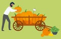 Man and Pumpkins in Wheelbarrow, Autumn Harvest