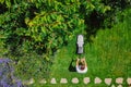 Man pushing lawn mower for cutting green grass in garden with sunlight at summer. Aerial view Royalty Free Stock Photo