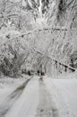 Man pushing snowblower on road with fallen trees in winter snow storm Royalty Free Stock Photo