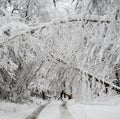 Man pushing snowblower on road with fallen trees in winter snow storm Royalty Free Stock Photo