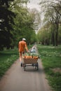 A man pushing a wagon filled with carrots down a road. AI generative image.