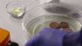 A man puts copper coins in a container with phosphoric acid for additional cleaning and removal of corrosion residues