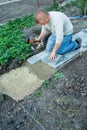 Man puts paving Royalty Free Stock Photo