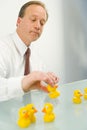 Man putting ducks in a row Royalty Free Stock Photo