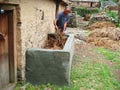 Man collecting fodder to cattle in a village of india