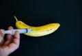 Man is putting injection in banana. GMP productos. Fruit with pesticide