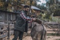 A man putting a saddle on a donkeys back