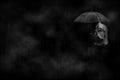 Man in the rain . Loneliness. Sadness. Royalty Free Stock Photo