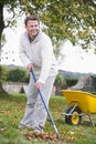 Man raking autumn leaves