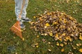 A man raking autumn leaves with a rake in the garden. Royalty Free Stock Photo