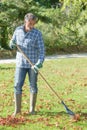 man raking leaves Royalty Free Stock Photo