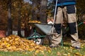 Man raking the leaves Royalty Free Stock Photo