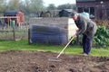 Man raking a seed bed. Royalty Free Stock Photo