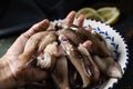 Man with raw cuttlefishes in his hand Royalty Free Stock Photo