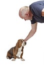 Man reaches down to pat basset hound puppy Royalty Free Stock Photo