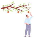 Man reaching for red apple growing on tree. Fruit garden Royalty Free Stock Photo