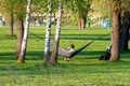 Man reading book in comfortable hammock at green garden, viev from behind
