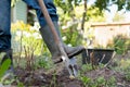 Man ready to dig potatos with shovel. Royalty Free Stock Photo