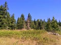 Man reclines in sun on Isle Royale National Park Royalty Free Stock Photo