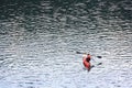 BELIS-FANTANELE, ROMANIA, AUGUST 12, 2023: Red kayak on Belis-Fantanele dam lake, Ocidental Carpathians, Romania, Europe.