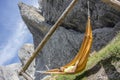 Man relaxes in the hammock