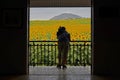 Man relaxes with sunflower field on the terrace Royalty Free Stock Photo